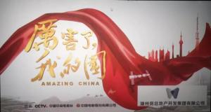 為黨喝彩，為國點贊——公司黨委組織黨員群眾觀看《厲害了，我的國》